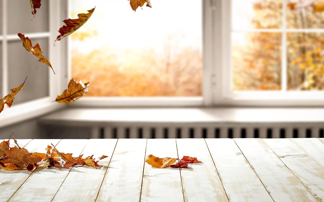 energy efficient window for fall