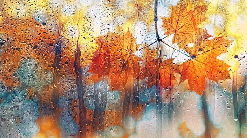 fall weather windows